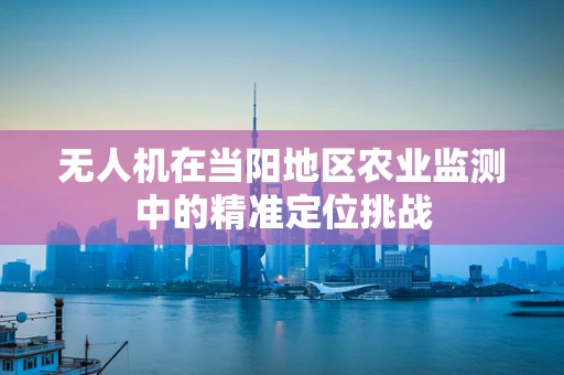 无人机在当阳地区农业监测中的精准定位挑战
