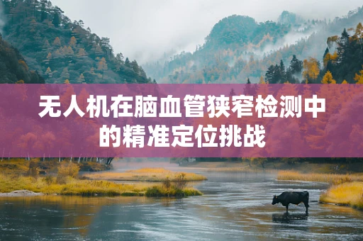 无人机在脑血管狭窄检测中的精准定位挑战