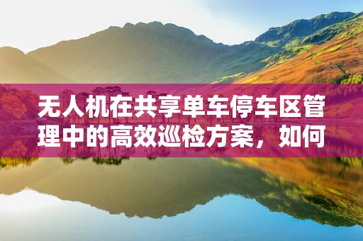 无人机在共享单车停车区管理中的高效巡检方案，如何实现精准定位与智能调度？