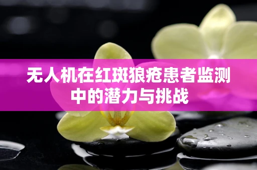 无人机在红斑狼疮患者监测中的潜力与挑战