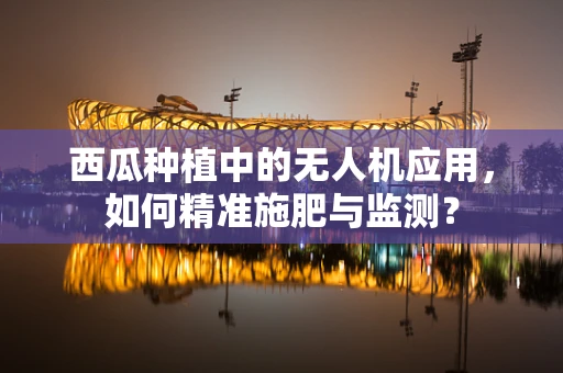 西瓜种植中的无人机应用，如何精准施肥与监测？