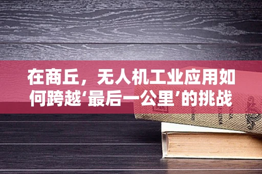 在商丘，无人机工业应用如何跨越‘最后一公里’的挑战？