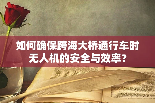 如何确保跨海大桥通行车时无人机的安全与效率？