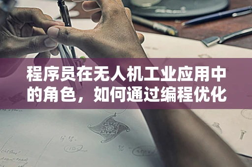 程序员在无人机工业应用中的角色，如何通过编程优化飞行任务？