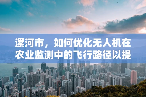 漯河市，如何优化无人机在农业监测中的飞行路径以提升效率？