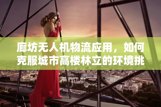 廊坊无人机物流应用，如何克服城市高楼林立的环境挑战？