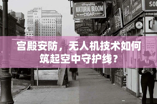 宫殿安防，无人机技术如何筑起空中守护线？