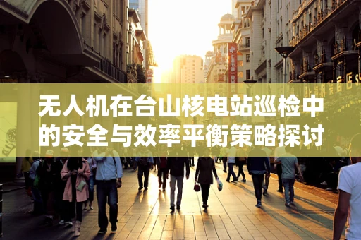 无人机在台山核电站巡检中的安全与效率平衡策略探讨