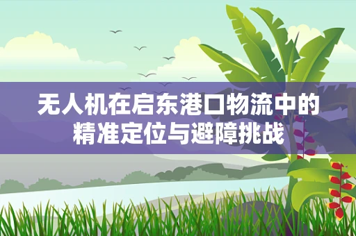 无人机在启东港口物流中的精准定位与避障挑战