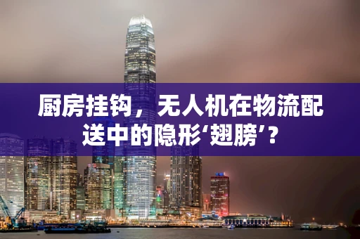 厨房挂钩，无人机在物流配送中的隐形‘翅膀’？