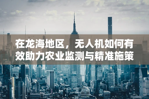 在龙海地区，无人机如何有效助力农业监测与精准施策？