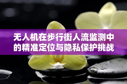 无人机在步行街人流监测中的精准定位与隐私保护挑战