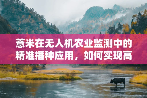 薏米在无人机农业监测中的精准播种应用，如何实现高效与精准的平衡？