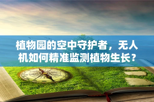 植物园的空中守护者，无人机如何精准监测植物生长？