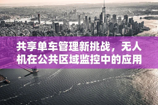 共享单车管理新挑战，无人机在公共区域监控中的应用潜力