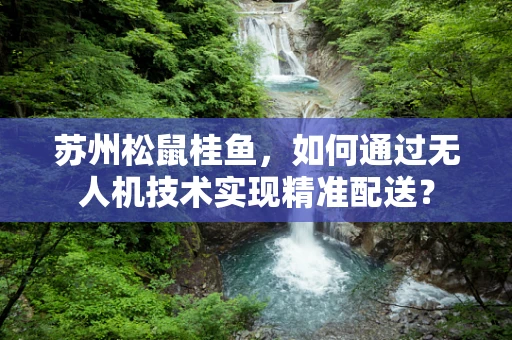 苏州松鼠桂鱼，如何通过无人机技术实现精准配送？