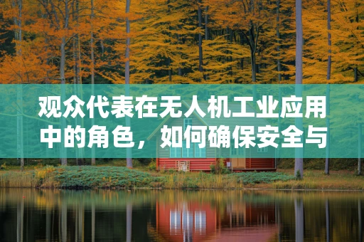 观众代表在无人机工业应用中的角色，如何确保安全与高效？