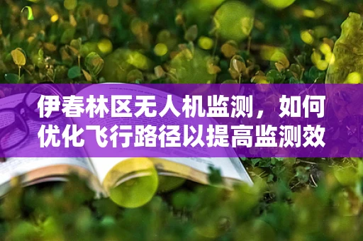 伊春林区无人机监测，如何优化飞行路径以提高监测效率？