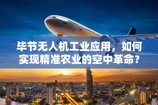 毕节无人机工业应用，如何实现精准农业的空中革命？