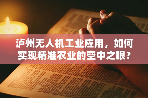 泸州无人机工业应用，如何实现精准农业的空中之眼？