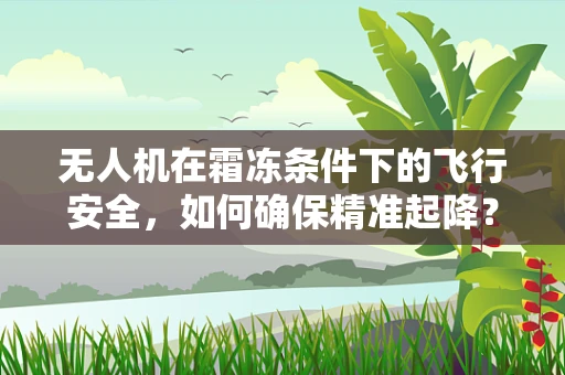 无人机在霜冻条件下的飞行安全，如何确保精准起降？