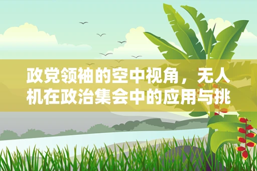 政党领袖的空中视角，无人机在政治集会中的应用与挑战