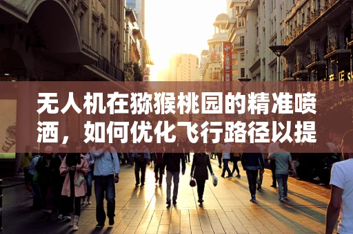 无人机在猕猴桃园的精准喷洒，如何优化飞行路径以提升作业效率？