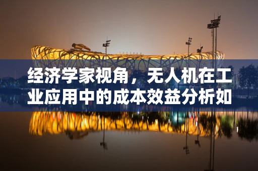 经济学家视角，无人机在工业应用中的成本效益分析如何影响企业决策？