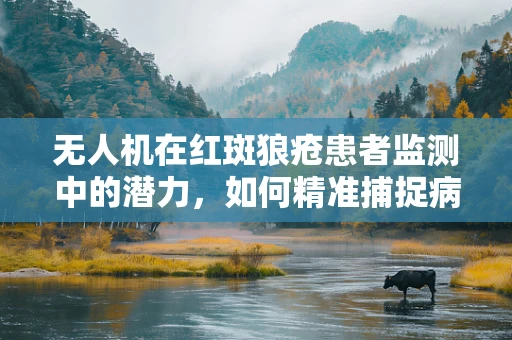 无人机在红斑狼疮患者监测中的潜力，如何精准捕捉病情变化？