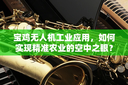 宝鸡无人机工业应用，如何实现精准农业的空中之眼？