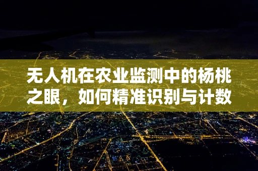 无人机在农业监测中的杨桃之眼，如何精准识别与计数？