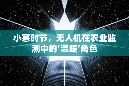 小寒时节，无人机在农业监测中的‘温暖’角色