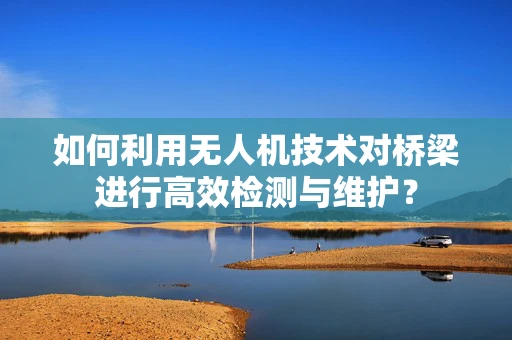如何利用无人机技术对桥梁进行高效检测与维护？