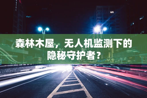 森林木屋，无人机监测下的隐秘守护者？