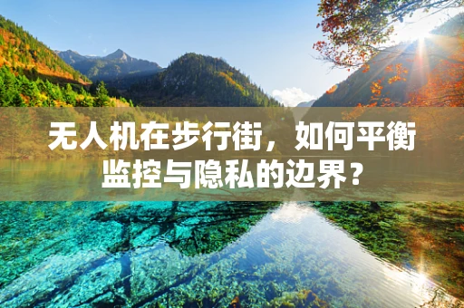 无人机在步行街，如何平衡监控与隐私的边界？