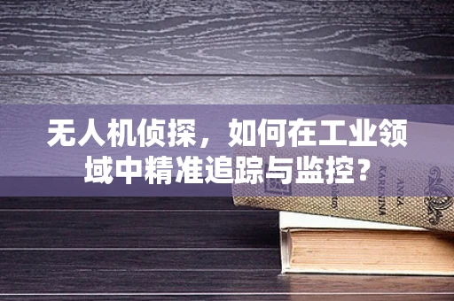 无人机侦探，如何在工业领域中精准追踪与监控？