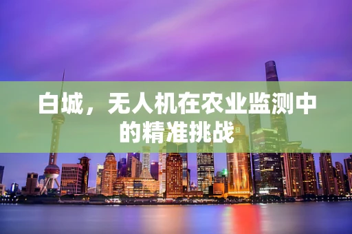 白城，无人机在农业监测中的精准挑战