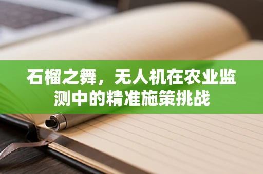 石榴之舞，无人机在农业监测中的精准施策挑战
