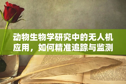 动物生物学研究中的无人机应用，如何精准追踪与监测？