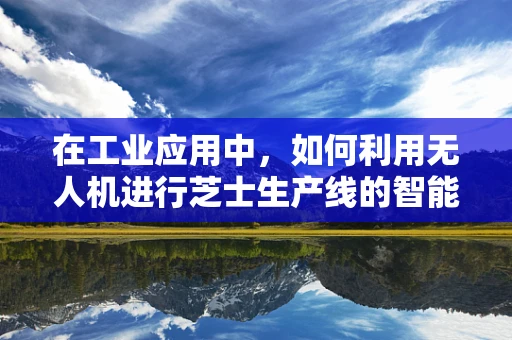 在工业应用中，如何利用无人机进行芝士生产线的智能监控？