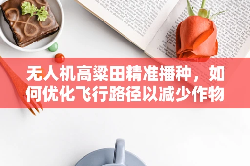 无人机高粱田精准播种，如何优化飞行路径以减少作物损伤？
