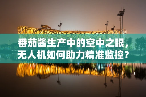 番茄酱生产中的空中之眼，无人机如何助力精准监控？