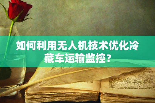 如何利用无人机技术优化冷藏车运输监控？