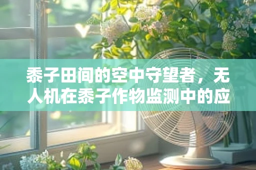 黍子田间的空中守望者，无人机在黍子作物监测中的应用挑战