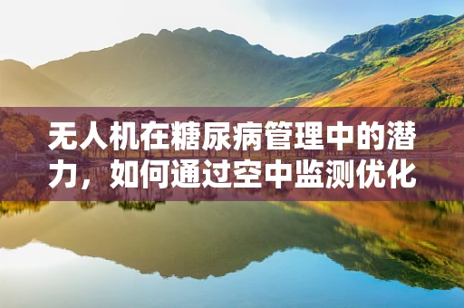 无人机在糖尿病管理中的潜力，如何通过空中监测优化治疗？