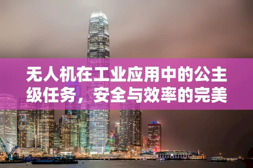 无人机在工业应用中的公主级任务，安全与效率的完美平衡