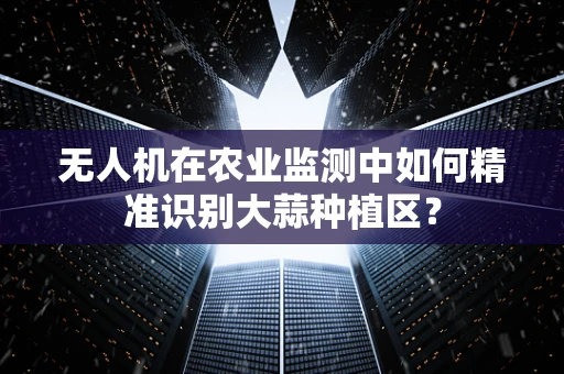 无人机在农业监测中如何精准识别大蒜种植区？