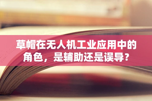 草帽在无人机工业应用中的角色，是辅助还是误导？