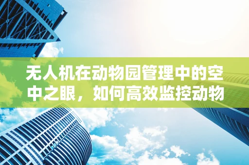 无人机在动物园管理中的空中之眼，如何高效监控动物行为？