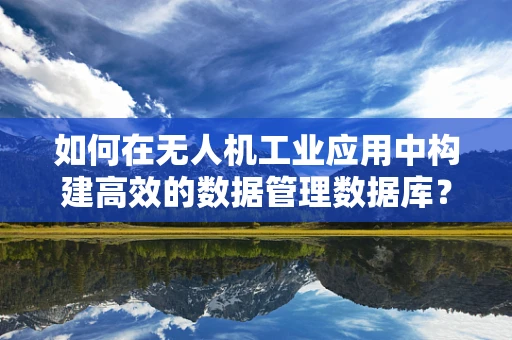 如何在无人机工业应用中构建高效的数据管理数据库？